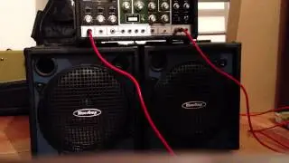 Roland Space Echo RE 301 & Henriksen Blues Amp