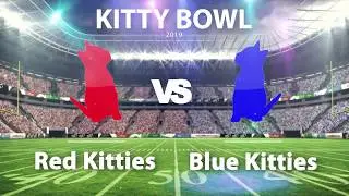 Miguel and Holly's Kitty Bowl 2019