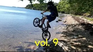 vol. 9