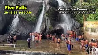 இன்றைய ஐந்தருவி #shortvideo #kutralam #courtallam #short #waterfall #water