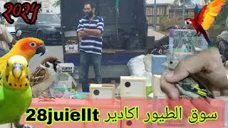 سوق الطيور اكادير ليوم الاحد 28jiuellet جديد اثمنة السلع وطيور الزينة حصريا على قناتكم💥