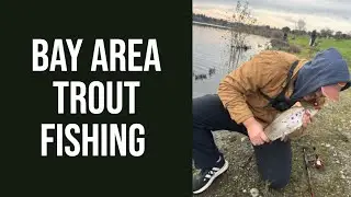 Bay area trout fishing!