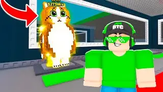 I stole the NEW BRAINROT OG more OP from Steal a Brainrot