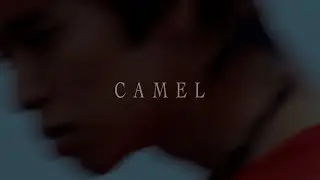 PEARL CENTER - CAMEL（Official Visualizer）