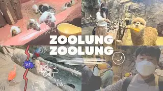 【韓國生活】首爾室內動物園Zoolung Zoolungㅣ與動物園近距離接觸互動ㅣ情侶親子好去處