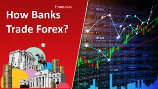 Bank Trading Strategy - Forex Big Players