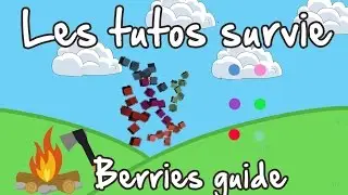 Unturned FR tuto survie : Berries guide