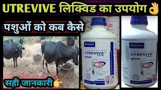 UTREVIVE Liquid||Virbac||Cleaning Uterus Support Health पशुओं को कब कैसे