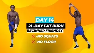 21 -Day All Standing Fat Burn Reset - Beginner Friendly -Day 14