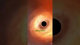 Hidden Black Holes? New Insights into the Little Red Dots