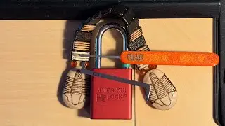 American 1100 Pick and gut (Green Belt) [1] (feat. Northernlion in background)