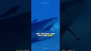 Cleaner Fish - The Dr Fish #shorts #animals #fish #dentist #facts
