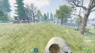 Ty rock glitch