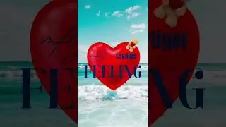 Mfly X Leytiger - FEELING (Official Audio)