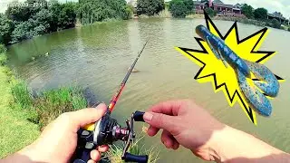 Bass Fishing in Joburg: Kloofzicht
