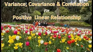 VARIANCE, COVARIANCE, & CORRELATION FOR POSITIVE LINEAR RELATIONSHIP