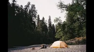 Redwood National Park 2024 | 2-night backpacking trip!
