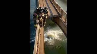 Firefighters save kittens from collapsing bridge!