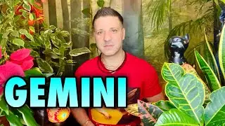GEMINI February 2022 ⭐️ STEP into the NEW REALITY! SUDDEN ALIGNMENT Gemini February Horoscope Tarot