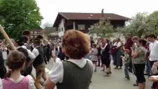 Maibaum 2013 Nussdorf am Inn