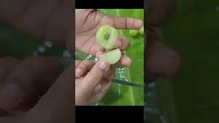 mouth watering  gooseberries #gooseberry #fruits #shorts
