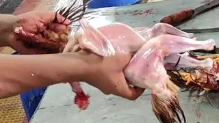 Amazing Live Chicken Cutting Skills By Professional Cutter | Best Chicken Cutting Skills