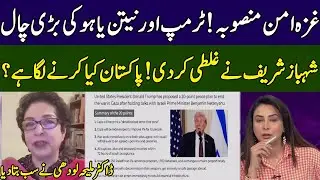 Maleeha Lodhi Analysis On Gaza Peace Plan | Ground Zero | 365 News | EE23