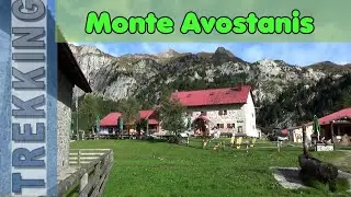 Dalla Casera Pramosio al Monte Avostanis