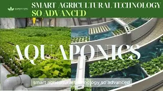 Aquaponics - Smart Agricultural Technology. So Advanced. #aquaponicsystem #advancetechnology