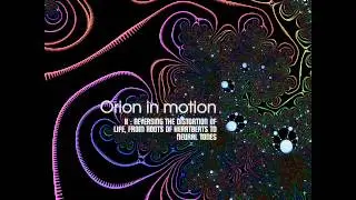 Saelynh - Outside the Ordered Universe