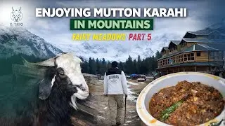 Fairy Meadows Mountain Journey | Final Part 5 | Complete Adventure | GTRIO Travel