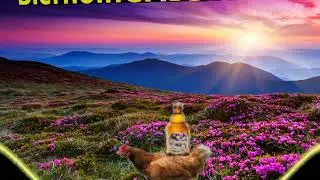 Bier holn Chicken whatsapp video,ver&uuml;cktes Huhn,crazy,lustig
