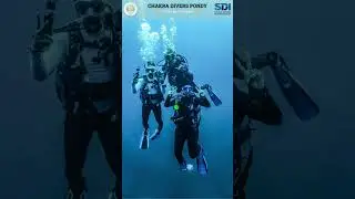 Try Scuba diving | Learn to dive | #pondicherry #scubadiving #sdi #tdi #scubadivinginpondicherry