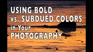 Using Bold vs Subdued Colors in Your Photography