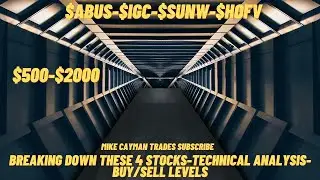 #ABUS-#IGC-#SUNW-#HOFV-$500-$2000-Technical Analysis-Buy/Sell Levels