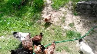 pozite-opozite😉