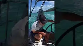 Sail to Whitehaven Beach Dehler 46 YKNOT