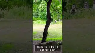How did Calvin Heimburg Birdie this Hole? Was it Luck or Skill?