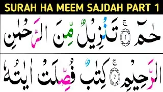 Surah Ha mim sajdah  Part 1 / verses 01-08/ Surah fussilat / learn Quran easily at home