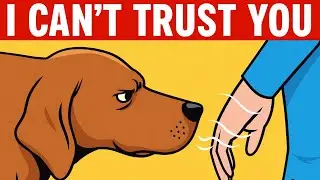 Как собаки могут распознать плохого человека 🐕 (и другие невероятные способности собак)
