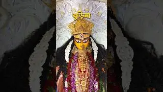 3 Sisters of Krishnanagar Buri Maa, Mejo Maa, Choto Maa❤️🙏❤️ #krishnanagar #jagadhartipuja &copy;niksbug