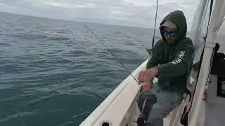 SHARK RIVER REEF FISHING