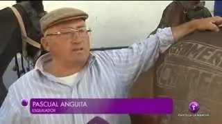 Los esquiladores de Tomelloso