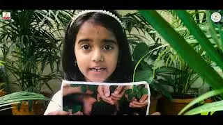WORLD ENVIRONMENT DAY 2022-23 #LITTLEPARROTSPRESCHOOL