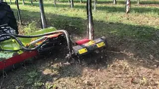 Minitrincia con spazzolina