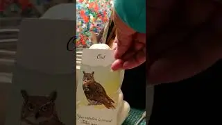 Divine Feather Messenger General Reading 💝💝💝