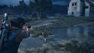 DAYS GONE Part 13: Clearing Nest and Ambush camp