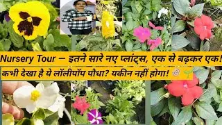 Nursery tour/ Local nursery tour /ludhiana nursery tour/Rare plants#meenukagarden #viralvideos#viral