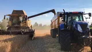 Graan 2018 | New Holland TX67 + New Holland CX8.85 | Loonwerken Vanoppen