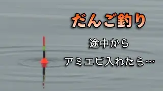 また雨のだんご釣り！小さい黒鯛も…